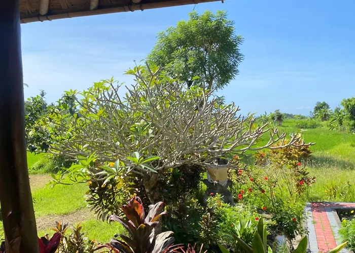 Punaga Lodge *